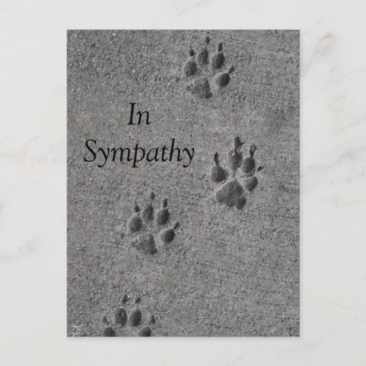 ペットの足跡セメント - いつもそこに ポストカード (正面)