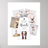 ペットの追悼に最適なオリジナル マルチフォトコラージュ ポスター (正面)