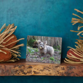 ペットの追悼　大切な写真を心に永遠に フォトプラーク (側面)