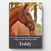 ペットの追悼 思い出のカスタムペット馬写真 フォトプラーク (正面)