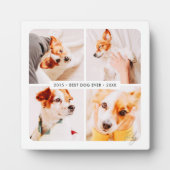 ペットの追悼 最高の犬のモダンな写真コラージュ フォトプラーク (正面)