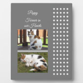 ペットの追悼 猫 グレーと白の写真を追加 フォトプラーク (正面)