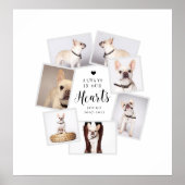 ペットの追悼　複数写真コラージュ ポスター (正面)