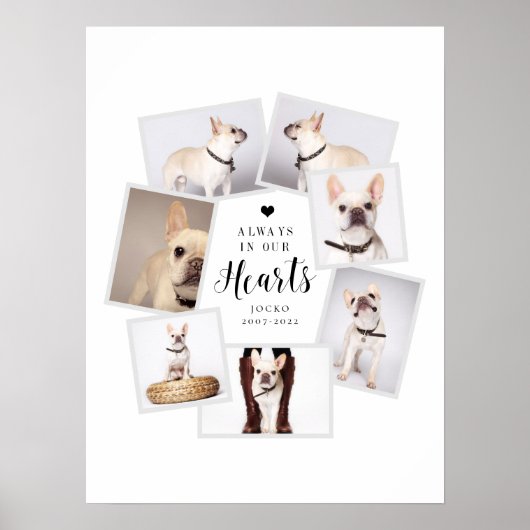 ペットの追悼 複数写真コラージュ ポスター (正面)