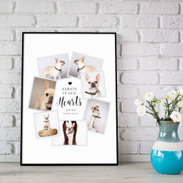 ペットの追悼　複数写真コラージュ ポスター