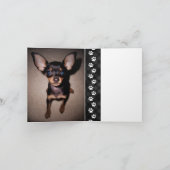 ペットの遺失記念カードを手に入れる カード (内部)