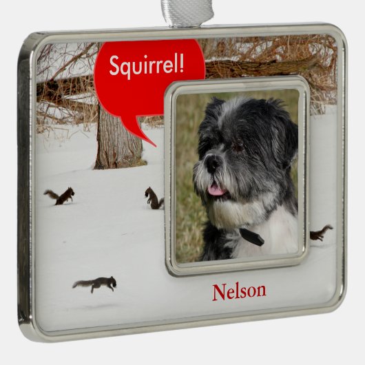 ペットの雪の中のリスたちの写真のクリスマス装飾 シルバープレートフレームオーナメント (右)