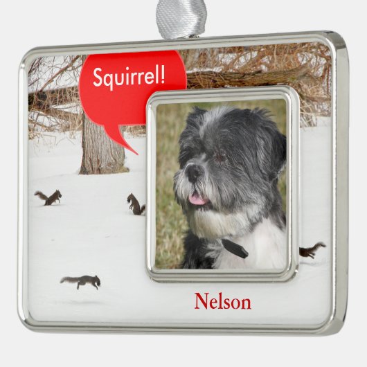 ペットの雪の中のリスたちの写真のクリスマス装飾 シルバープレートフレームオーナメント (左)