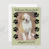 ペットの養子写真を保存する手のプリント 案内ポストカード (正面/裏面)