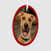 ペットの養子縁組 | オーダーメイドの写真 オーナメント (正面)