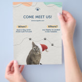 ペットの養育方法、動物シェルター寄付金フライヤー チラシ (手)