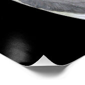 ペットの鳥のコックティエル写真 ポスター (コーナー)