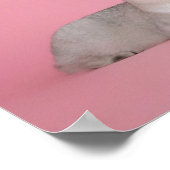 ペットは愛の束//猫と犬の写真 ポスター (角)