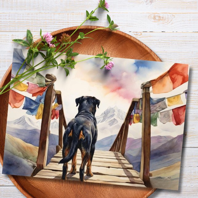 ペットへのお悔やみ 写真入り カード (Rainbow bridge pet loss)