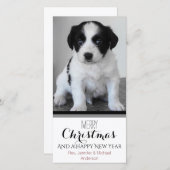ペットまたは子犬の白黒ホリデークリスマス シーズンカード (正面/裏面)
