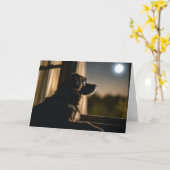 ペットを失うために月に照らされた窓の中の犬 カード (黄色い花)