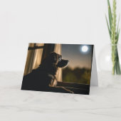 ペットを失うために月に照らされた窓の中の犬 カード (正面)