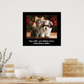 ペットを飼う ポスター (キッチン)