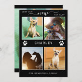 ペットアナウンスファーベビーモダン写真集 案内状 (正面/裏面)