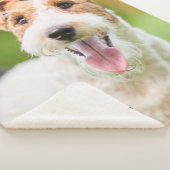 ペットカスタマイズ名写真タイポグラフィ シェルパブランケット (3/4)