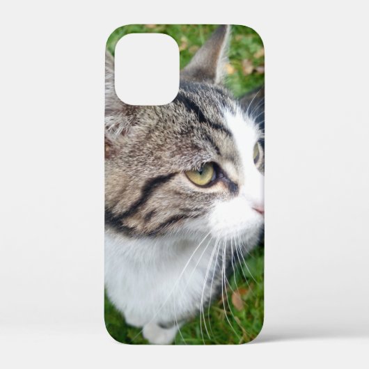 ペットカスタムのイメージまたは家族写真 Case-Mate iPhoneケース (裏面)