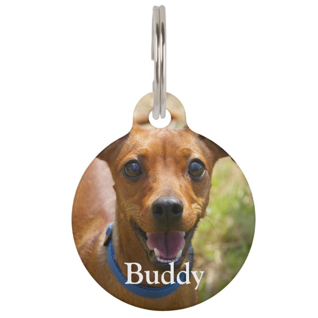 ペットカスタムの写真とお気に入りの詳細を追加する ペット　ネームタグ (正面)