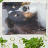 ペットカスタムの写真と愛の文字と手と名前 キッチンタオル (折り畳み)