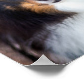 ペットカスタムの写真と愛の文字と手と名前 ポスター (角)