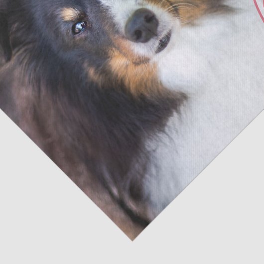 ペットカスタムの写真と愛の文字と手と名前 薄葉紙 (詳細)