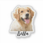 ペットカスタムの写真に名前を付ける シール (正面)