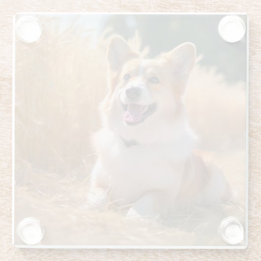 ペットカスタムの写真 ガラスコースター (裏面)