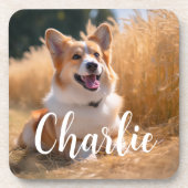 ペットカスタムの写真 コースター (正面)