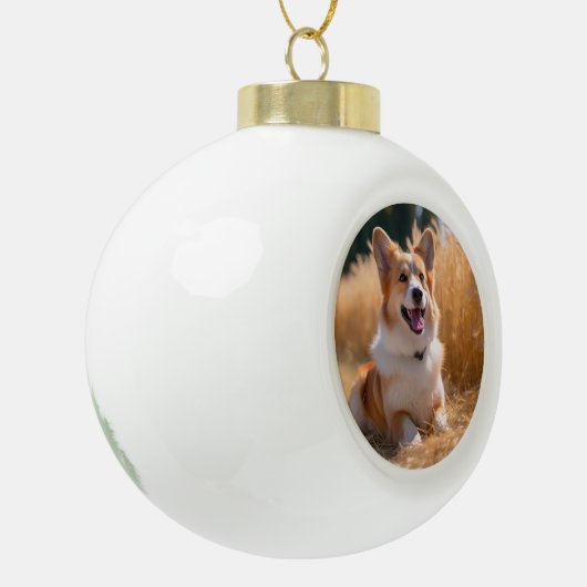 ペットカスタムの写真 セラミックボールオーナメント (左)