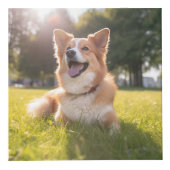 ペットカスタムの写真 フォトキューブ (右)