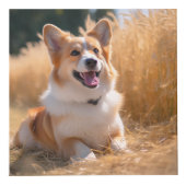 ペットカスタムの写真 フォトキューブ (正面)