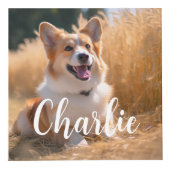 ペットカスタムの写真 フォトキューブ (正面)