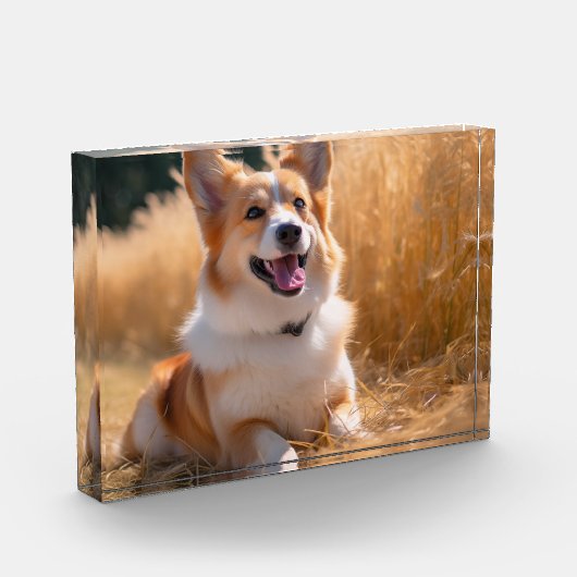 ペットカスタムの写真 フォトブロック (左)