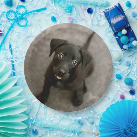 ペットカスタムの写真 ペーパープレート (パーティー)