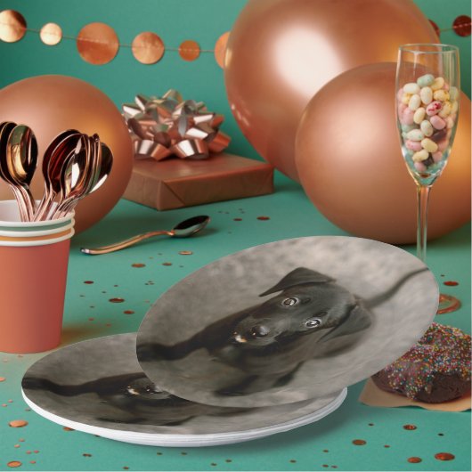 ペットカスタムの写真 ペーパープレート (複数)