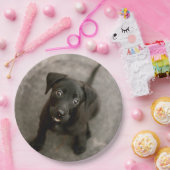 ペットカスタムの写真 ペーパープレート (パーティー)