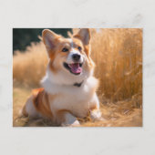 ペットカスタムの写真 ポストカード (正面)