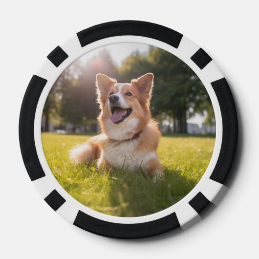 ペットカスタムの写真 ポーカーチップ (裏面)