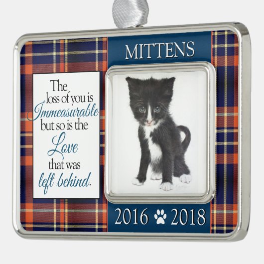 ペットカスタムの飼い猫・子猫の亡き シルバープレートフレームオーナメント (左)