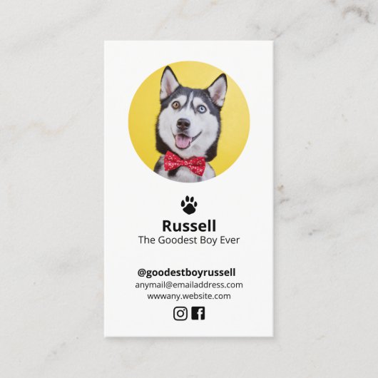 ペットカスタムインフルエンサーのフォトドッグ 名刺 (正面)