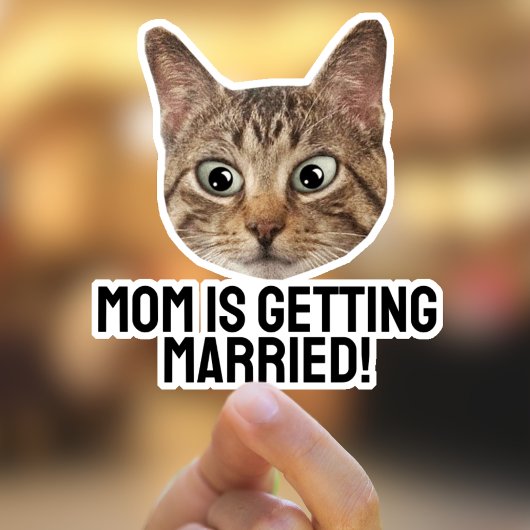 ペットカスタムステッカー猫顔シール シール