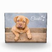 ペットカスタムペットの写真のパーソナライズ文字 フォトブロック (正面)