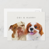 ペットカスタムポートレート ポストカード (正面/裏面)