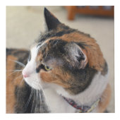 ペットカスタムメモリアル4写真 フォトキューブ (右)