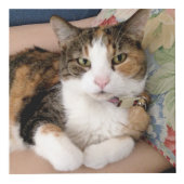 ペットカスタムメモリアル4写真 フォトキューブ (正面)