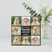 ペットカスタムメモリアル8写真犬ロス悔やみや弔慰 サンキューカード (スタンド正面)